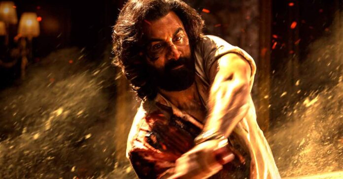 Ranbir Kapoor's 'Animal' Roars at Box Office, Nears ₹600-Crore Mark in 19 Days