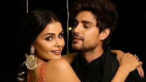 Ankit Gupta Exits ‘Terre Ho Jaayein Hum’ with Priyanka Chahar Choudhary Amid Breakup Rumours