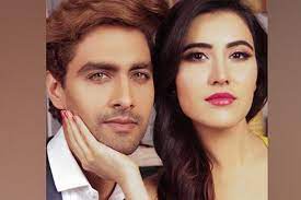 Sheena Bajaj and Rohit Purohit Announce Pregnancy, Share Emotional Journey of Long-Awaited News